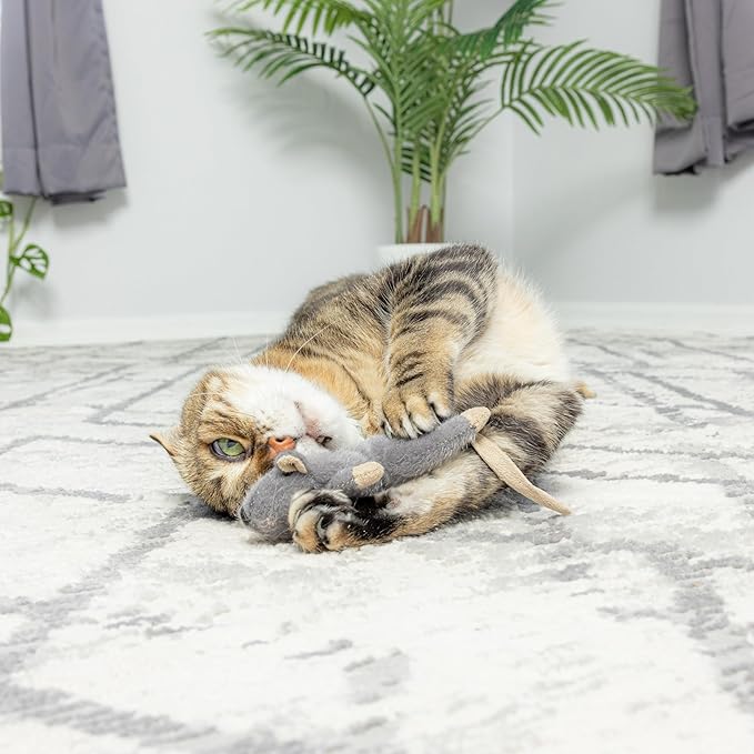 SPOT Flat Mouse Frankie with Catnip - Cat Toy, Fuzzy Mice with Catnip and Crinkle Sound, Perfect Size for Pouncing on, Chasing, Hunting - 5.5in Plush Toys, Assorted Colors - Image 5