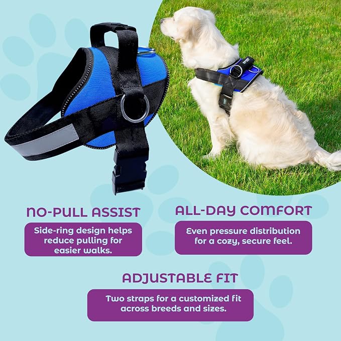 Joyride Basic Dog Harness 1.0 | Blue Serenity | S | Adjustable pet vest with 3 side leash rings for training, walking and improved control for small, medium or large dogs - Image 4