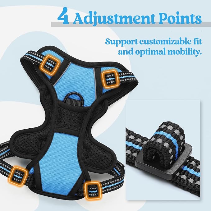 rabbitgoo Dog Harness, No Pull for Small Dogs with 2 Leash Clips, Pet Vest | No Choke with Handle, Adjustable Soft Padded, Reflective, Easy Control for Walking, Blue, X-Small - Image 4