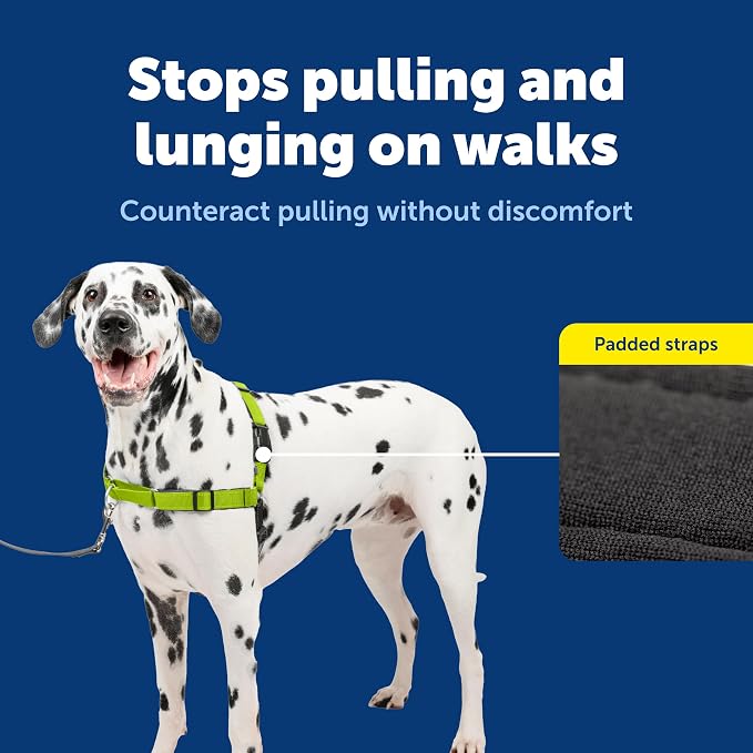 PetSafe Easy Walk Deluxe Dog Harness, No Pull Dog Harness – Perfect for Leash & Harness Training – Stops Pets from Pulling and Choking on Walks – Large, Apple - Image 5