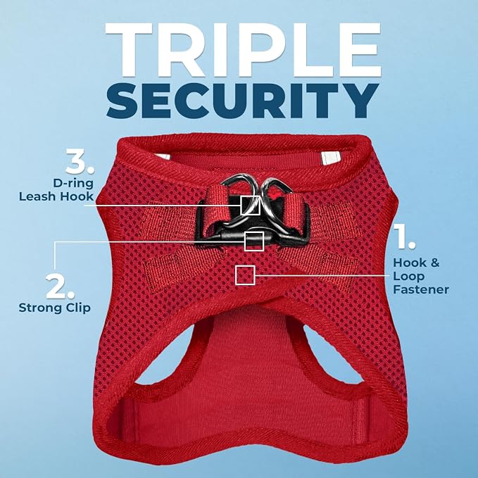 Best Pet Supplies Voyager Step-in Air All Weather Mesh Harness and Reflective Dog 5ft Leash Combo with Neoprene Handle, for Small, Medium and Large Breed Puppies - Red, Medium - Image 2