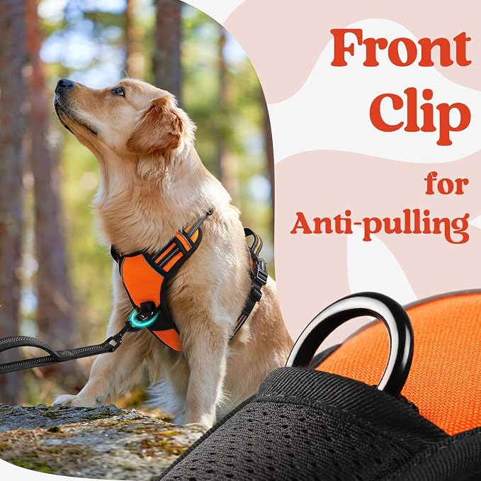 rabbitgoo Dog Harness for Large, Updated Easy On & Off with 3 Buckles | No Pull No Choke, Walking with 2 Clips and Handle, Adjustable Soft Reflective, Orange, Large - Image 6