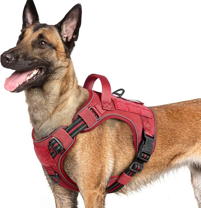 rabbitgoo Tactical Dog Harness for Large Dogs, No Pull Service Pet Vest | Military Molle System & Easy Control Handle, Adjustable and Reflective for Walking and Training, Red, Large by rabbitgoo