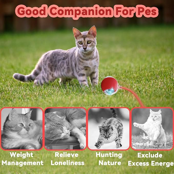Speedy 2.0 Tail Interactive Cat Toys for Indoor Cats, Automatic Cat Toy with Elastic Mesh Tail, Electric Rolling Ball on Carpet, Chirping and Motion Activate Cat - Image 9