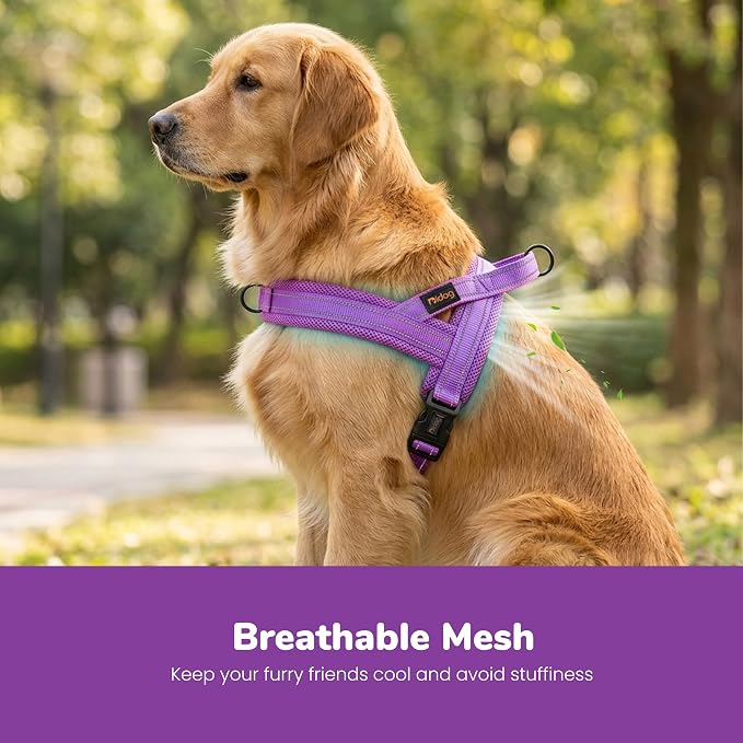 No Pull Dog Harness for Large Dogs, Breathable Mesh Padded, Purple, L | Quick Fit, Easy On and Off, Lightweight, Reflective Vest Harness for Night Safty, Easy for Walking and Training, Chest 26-32" - Image 2