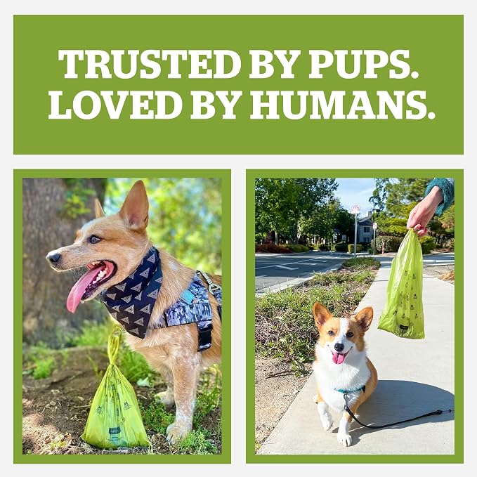Pogi’s Dog Poop Bags with Handles – Extra-Thick, Leak-Proof, Large, Fresh Scent, 300-Count (Pack of 2) - Image 6