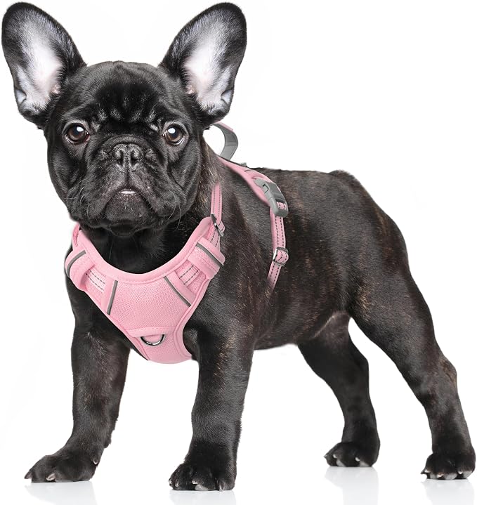BARKBAY No Pull Dog Harness Large Reflective Dog Harness with Front Clip and Easy Control Handle for Walking Training Running with ID tag Pocket(Baby Pink,S) by BARKBAY