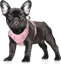BARKBAY No Pull Dog Harness Large Reflective Dog Harness with Front Clip and Easy Control Handle for Walking Training Running with ID tag Pocket(Baby Pink,S) by BARKBAY