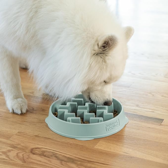Outward Hound Fun Feeder Slo Bowl Dog Slow Feeder, Notch, Sage, 11.8", Large (Pack of 6) - Image 6