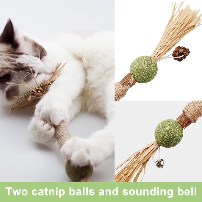 PAZ'S GIFT Catnip Toy Cat Toys Catnip Toy cat chew Toy cat Kicking silvervine Stick Teeth Cleaning Cute Kitten Teething Indoor Interactivecat Dental Care Matatabi (Catnip Balls) - Image 2
