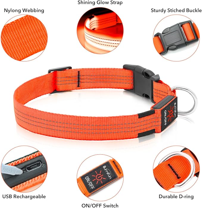 Illumifun USB Rechargeable LED Dog Collar, Light Up Dog Collar for Small Dogs, Reflective Adjustable Safety Dog Collar Lights for Night Walking (OrangeⅢ, Small) - Image 3