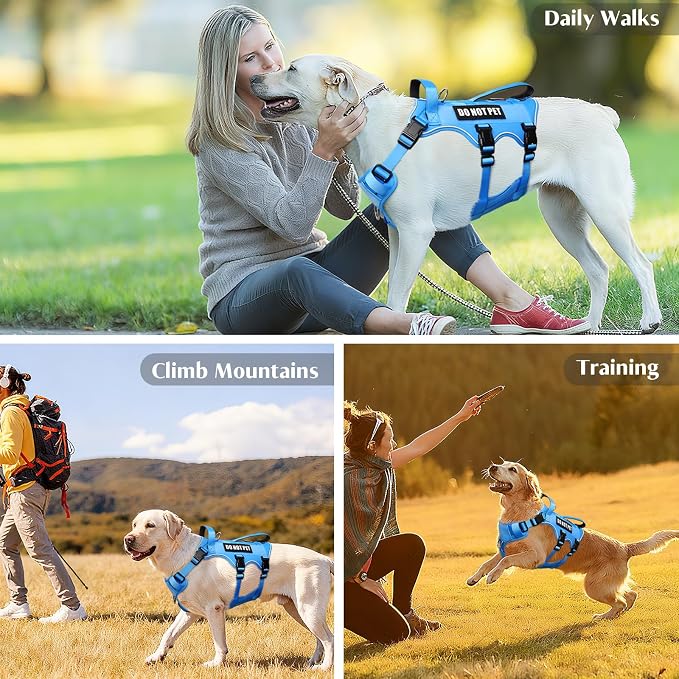 WINSEE Escape Proof Dog Harness with Double Handle+4 Removable Patches | Service Working Molle Harness with Double Handle for Small Dogs, Tactical Pet Reflective Vest for Walking Hiking Hunting - Image 9