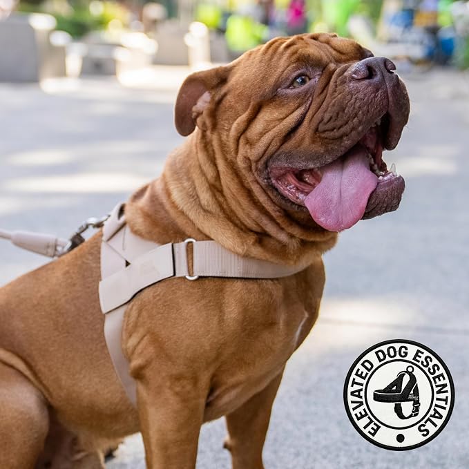 Dog Friendly Co. Dog Harness for Large Dogs (Brown, Large) | One Click Buckle, Chafe Resistant Webbing, Adjustable Neck & Chest, and Heavy Duty D-Ring, Sturdy Comfortable and Easy to Use - Image 5