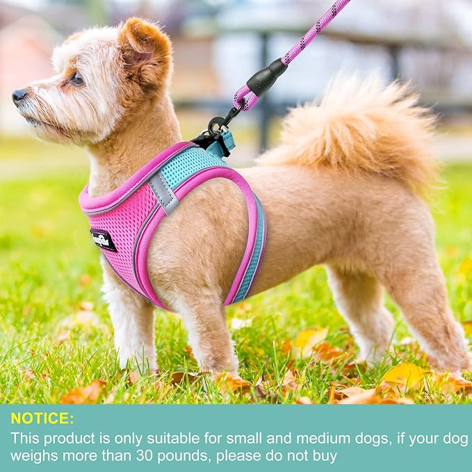 haapaw Dog Harness with Leash Set, No Pull Adjustable Reflective Step-in Puppy Harness with Thickened Padded Vest for Extra-Small/Small Medium Dogs - Image 4