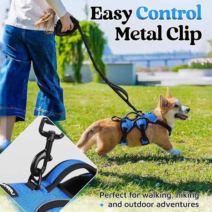 rabbitgoo Escape Proof Dog Harness for Small, No Pull with Lift Handle | No Escape, Full Soft Padded, Reflective Adjustable Vest, Leash Clip for Walking Hiking Training, Blue, Small - Image 5