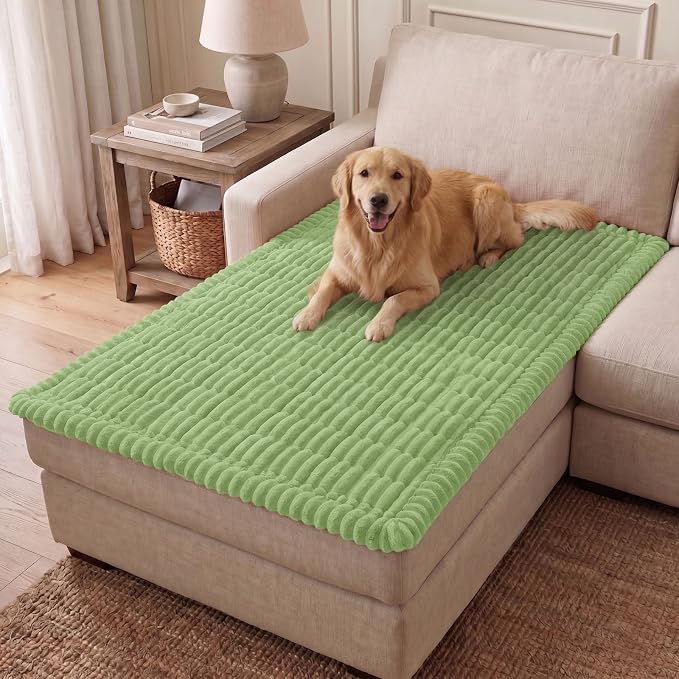 hyha Couch Cover for Dogs, Washable Non Slip Plush Flannel Sofa Protector | Thick Flannel, Anti-Slip Backing, Pet Hair & Scratch Protection, Fits Sofa & Loveseat (43" x 63") by hyha