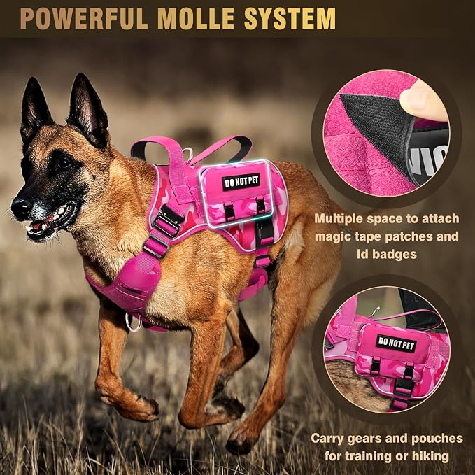 2X Metal Buckle Service Working MOLLE Dog Vest with 10 Pet Patches | Tactical Dog Harness for Large Dog, No-pull Military Working Vest for Training Hunting Walking，2x D Rings for Leash Clip - Image 4