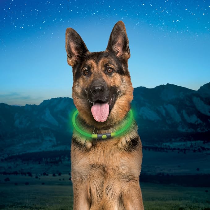 Nite Ize NiteHowl Rechargeable LED Safety Necklace - Dog Light for Dog-Walking Gear - Weather-Resistant Design - 5 Hours Runtime - Cut to Fit from 12” to 27” - Green - Image 8