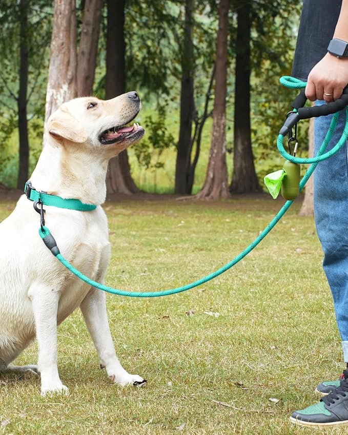 Dynmeow Reflective Dog Collar and Leash Set for Medium Dogs, Teal | Soft Neoprene Padded, 6FT Climbing Rope, Ideal for Daily Outdoor Walking or Indoor Wearing, Night Visible for Safety - Image 5