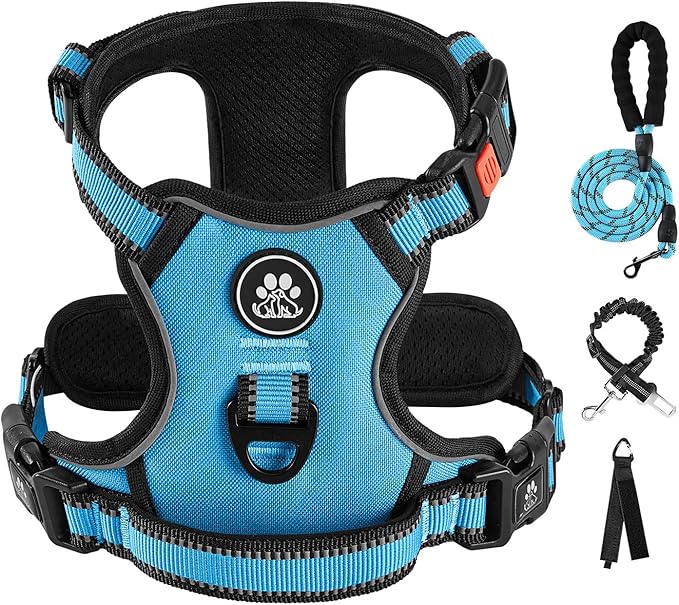 IVY&LANE No Pull Dog Harness for Small Dogs, Dog Vest Harness with Leash, Safety Belt and Storage Strap, Fully Adjustable Harness, 360° Reflective Strip, Soft Handle (Blue, XS) by IVYLANE