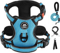 IVY&LANE No Pull Dog Harness for Small Dogs, Dog Vest Harness with Leash, Safety Belt and Storage Strap, Fully Adjustable Harness, 360° Reflective Strip, Soft Handle (Blue, XS) by IVYLANE