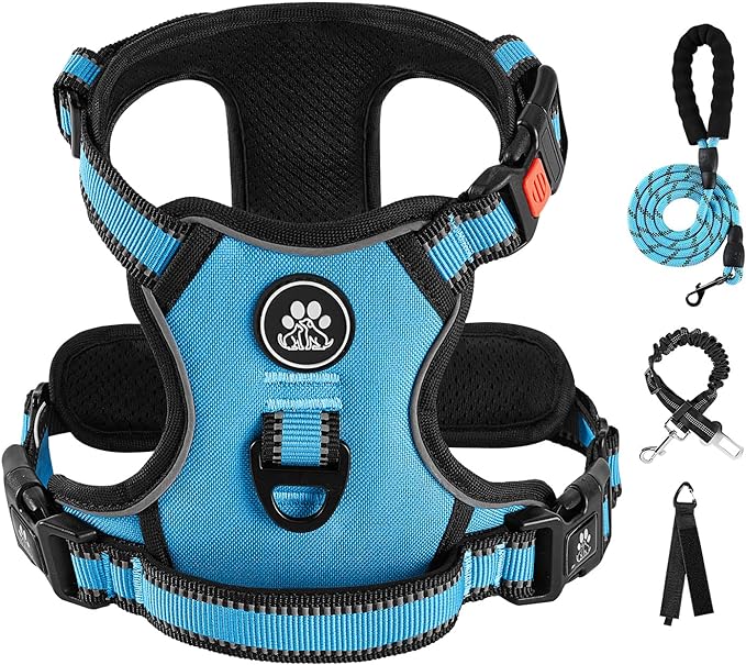 IVY&LANE No Pull Dog Harness for Large Dogs, Dog Vest Harness with Leash, Safety Belt and Storage Strap, Fully Adjustable Harness, 360° Reflective Strip, Soft Handle (Blue,XL) by IVYLANE