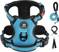 IVY&LANE No Pull Dog Harness for Large Dogs, Dog Vest Harness with Leash, Safety Belt and Storage Strap, Fully Adjustable Harness, 360° Reflective Strip, Soft Handle (Blue,XL) by IVYLANE