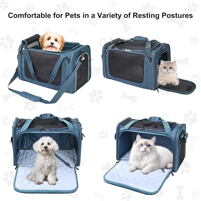 EliteField Deluxe Soft Pet Carrier for Cats and Dogs (3-Year Warranty) | Airline Approved, Waterproof Fabric, Scratch-Resistant Mesh, Expandable Mat, Built-In Leash, Suitcase Sleeve, Seat Belt Loops - Image 2