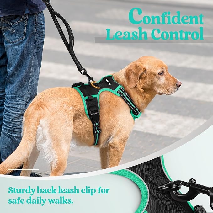 rabbitgoo Dog Harness, No Pull for Large Dogs with 2 Leash Clips, Pet Vest | No Choke with Handle, Adjustable Soft Padded, Reflective, Easy Control for Walking, Black & Turquoise, Large - Image 6