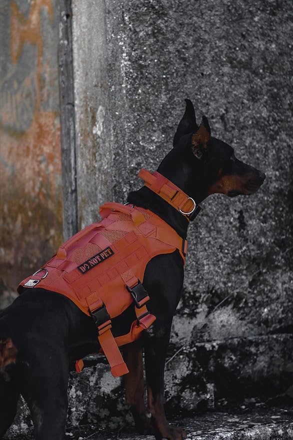 OneTigris - Tactical Dog Harness No Pull for Medium Dogs, Breathable Mesh Design, Service Dog Vest with Handle and Molle Bags, Adjustable Suit for Walking Hiking - Image 6