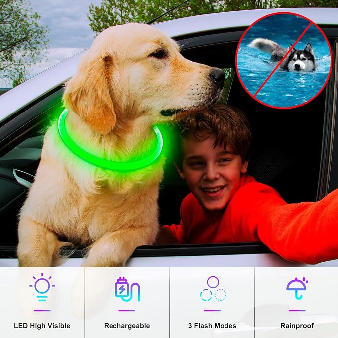 Light Up Dog Collar, USB Rechargeable, LED, Green | Cuttable TPU, Waterproof, Night Walking, Night Safety, Glow in the Dark, Small Medium Large Dogs, Camping, Outdoor - Image 2