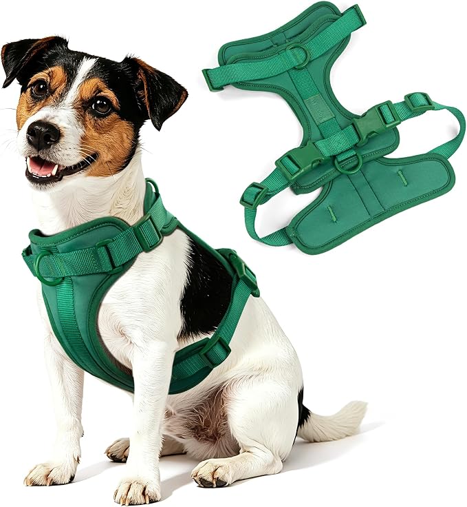 Wisedog No Pull Dog Harness, Pine Green, Small | Lightweight, Adjustable Breathable Pet Vest, Soft & Comfortable Cushion, Small Medium Large Dogs - Image 8
