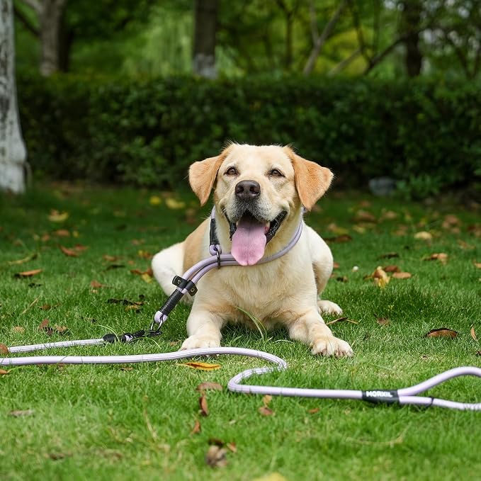 Long Dog Leash, 10ft 30ft 50 feet Heavy Duty Dog Training Leash, Aviation Aluminum Auto Locking Carabiner, Nylon Rope Long Line Check Cord Recall Lead for Yard,Playing,Camping,Black,30FT - Image 5