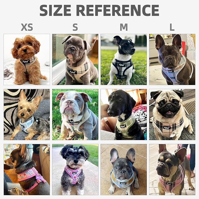 PUPTECK Small Dog Harness and Leash Set No Pull for XS XXS Sized Dogs Puppy | Escape Proof No Choke Pet Cat Adjustable Soft Padded Walking Vest - Image 8