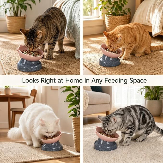 Ceramic Slow Feeder Cat Bowl, 15-Degree Tilted Non-Slip | Food-Grade Ceramic For Indoor Cats, 5.3 In Shallow Bowl, Whisker-Friendly, Dry And Wet Food, Dishwasher Safe - Image 8