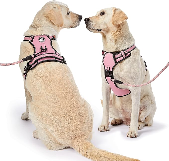 NESTROAD No Pull Dog Harness,Adjustable Oxford Dog Vest Harness with Leash,Reflective No-Choke Pet Harness with Easy Control Soft Handle for Small Dogs(X-Small,Pink) - Image 7