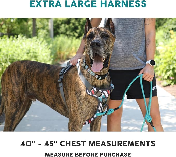 Embark No Pull Dog Harness, Reflective Adjustable Training Vest, No Choke | Adjustable straps fit all dog breeds with sturdy hooks; 360° reflective trim, soft padded Harness Design for All Dogs - Image 2