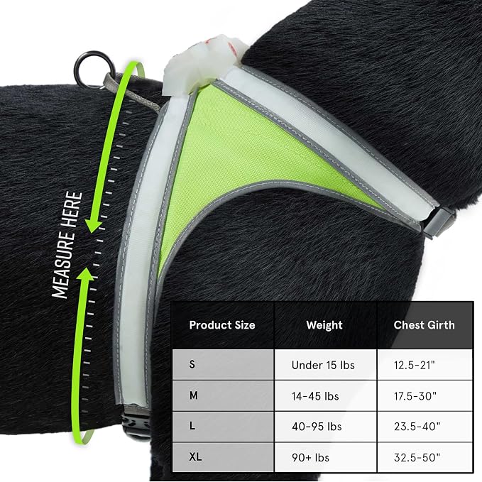 noxgear LightHound Light Up Reflective Dog Harness and Wrist Light, X-Large | 360° Light Up Reflective Dog Harness, 8 Colors & 6 Modes, USB Rechargeable, Adjustable, Rainproof, LED Fiber Optic - Image 9