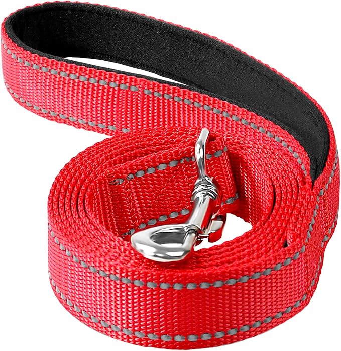 6FT Reflective Dog Leash, Padded Handle for Small Medium Dogs | Comfortable Nylon, Soft Handle Cushioning, Reflective Safety at Night, Walking Leash for Park & Hiking (3/4in, Red) by Erbine