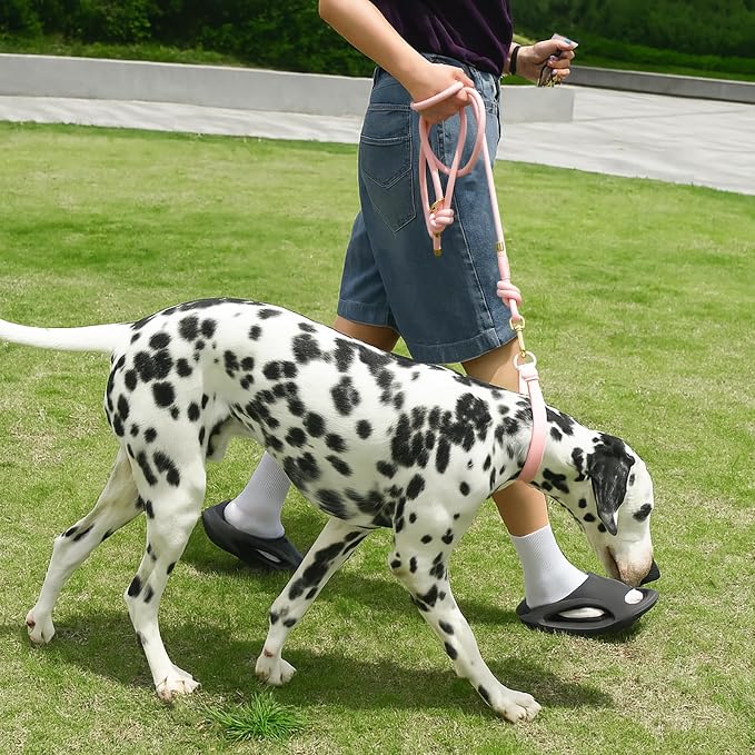 5FT Dog Leash Puppy Cat Rope Lead for Small Medium Large Dogs | Light Pink, with Anti-tangle Swivel Clip, Traffic Non-slip Grip Handle for Extra Control, Ideal for Daily Walks and Training - Image 8