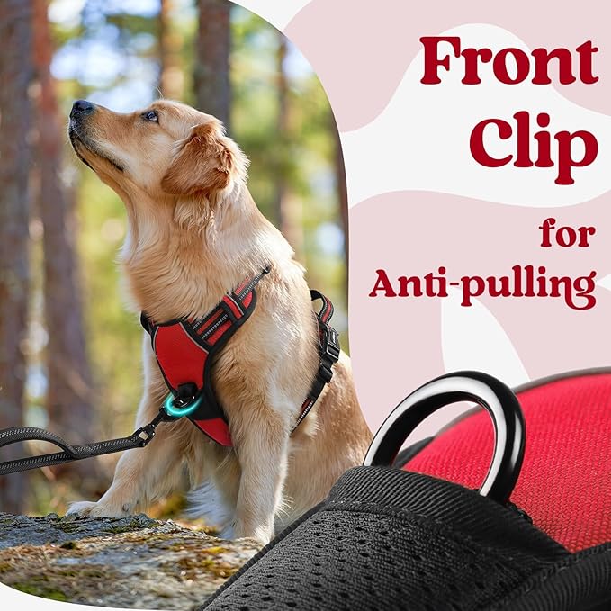 rabbitgoo Dog Harness Medium Sized, Updated Easy On & Off with 3 Buckles | No Pull No Choke, Walking with 2 Clips and Handle, Adjustable Soft Reflective, Red, Medium - Image 7
