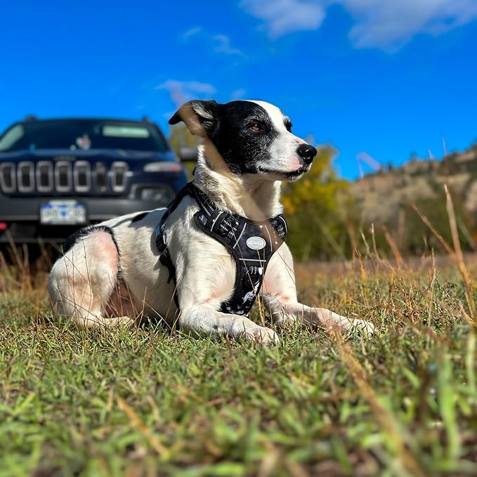 AUROTH Tactical Dog Harness for Small Medium Large Dogs - No Pull, Adjustable, Reflective, K9 Working Training, Easy Control, Military Service Dog Harness (M, Black Ink) | Heavy Duty with Handle, Breathable Padded, Reflective, Military K9, Easy Control... - Image 6