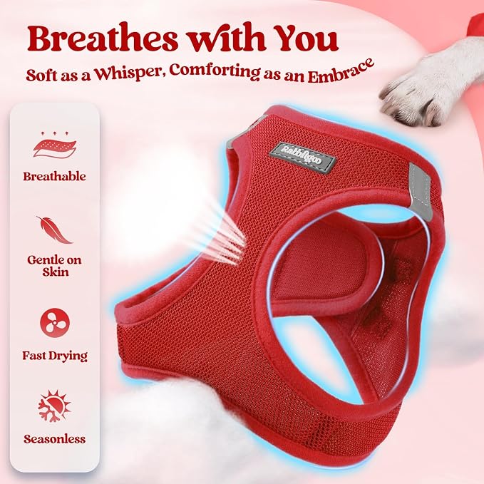rabbitgoo Dog Harness Medium Sized and Leash Set, Step-in Puppy Pet Vest | Light, Soft, Breathable Air Mesh, Easy on and Remove with Hook & Loop, Secure Reflective for Walking, Red XXL - Image 4