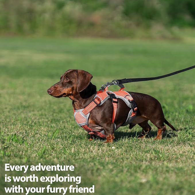 Escape Proof Dog Harness, Dachshund Harness, Reflective Dog Harness with Handle, Durable,Adjustable Vest for Small Medium Large Dogs Walking, Training, and Running Gear (Orange,L) - Image 7