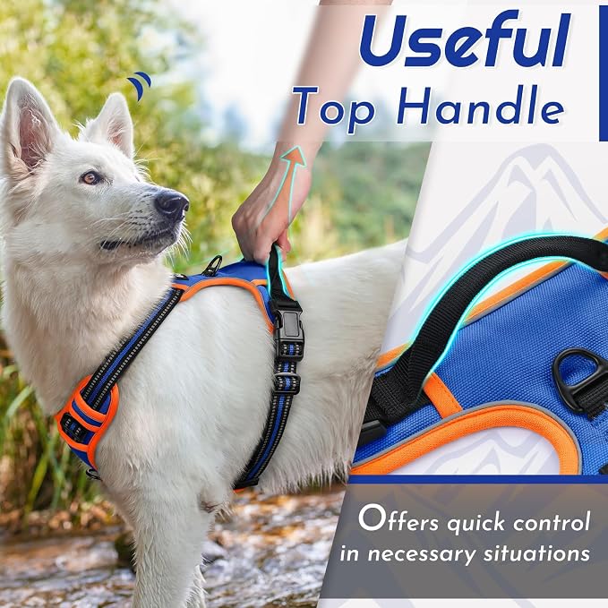 Eagloo Dog Harness for Small Dogs, No Pull Pet Vest with 2 Leash Clips | No Choke with Handle, Adjustable Comfort Fit, Reflective Strips, Easy Walking Control, Blue & Orange, Small - Image 5