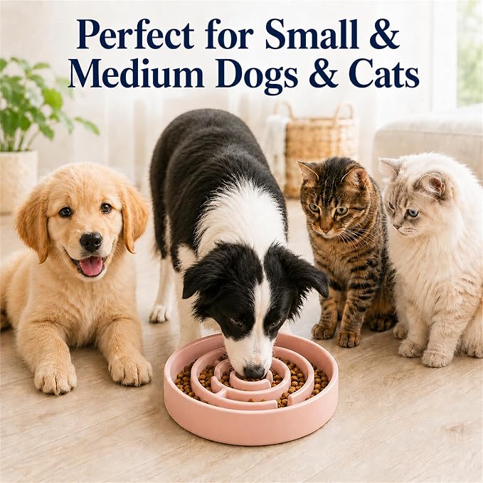 Ceramic Slow Feeder Dog Bowl 1.5 Cup Puzzle Dish for Small Medium Dogs | Glazed ceramic maze bowl with 1.5-cup capacity for dry or wet food, sized for small and medium dogs - Image 3