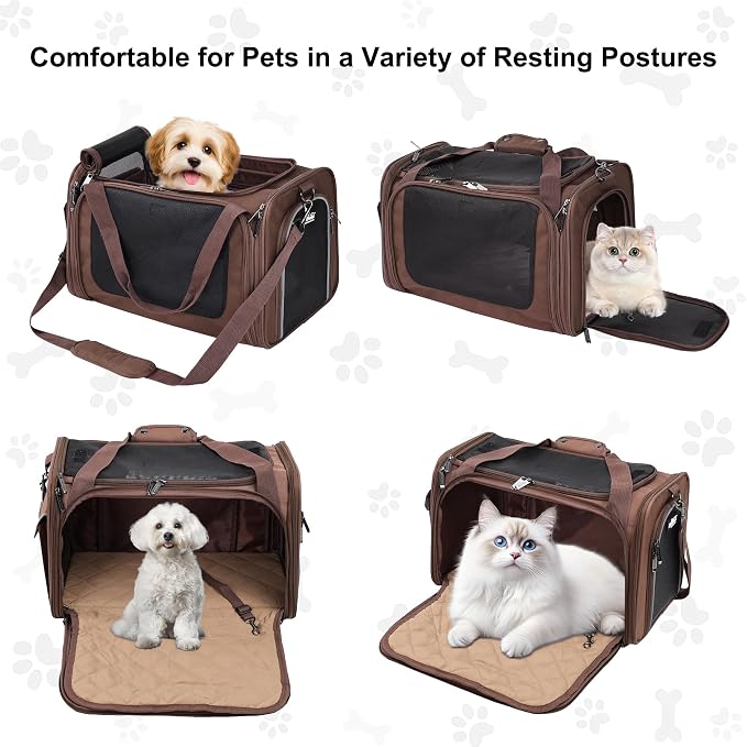EliteField Deluxe Soft Pet Carrier for Cats and Dogs (3-Year Warranty) | Airline Approved, Waterproof Fabric, Scratch-Resistant Mesh, Expandable Mat, Built-In Leash, Suitcase Sleeve, Seat Belt Loops - Image 2