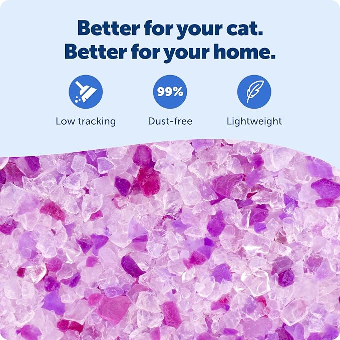 PetSafe ScoopFree Premium Crystal Litter, Lavender Scent, 4.3Lb Bag, 2 Pack | Ultra-Absorbent Crystal Cat Litter, 5x Faster Odor Control, 99% Dust-Free, Low Tracking, Refills Any Cat Box or Tray - Image 5