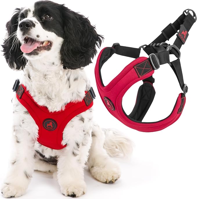 Gooby, Dog Harness, Sporty, Large, Red - Escape Free Sport Harness with Patented Neoprene Technology, 4-Point Adjustment, No Choke, Perfect for Small Dogs No Pull | Patented escape-free frame; Reduces choking; 4-point adjustment; Soft neoprene padding;... by Gooby