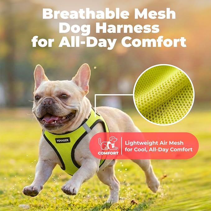 Voyager Step-in Air Dog Vest Harness - Lime Green/Black Trim, Small | 14.5-16" in Chest, Reflective Bands, All Weather Breathable Air Mesh, Cats Compatible, Lightweight, Fast Drying - Image 5
